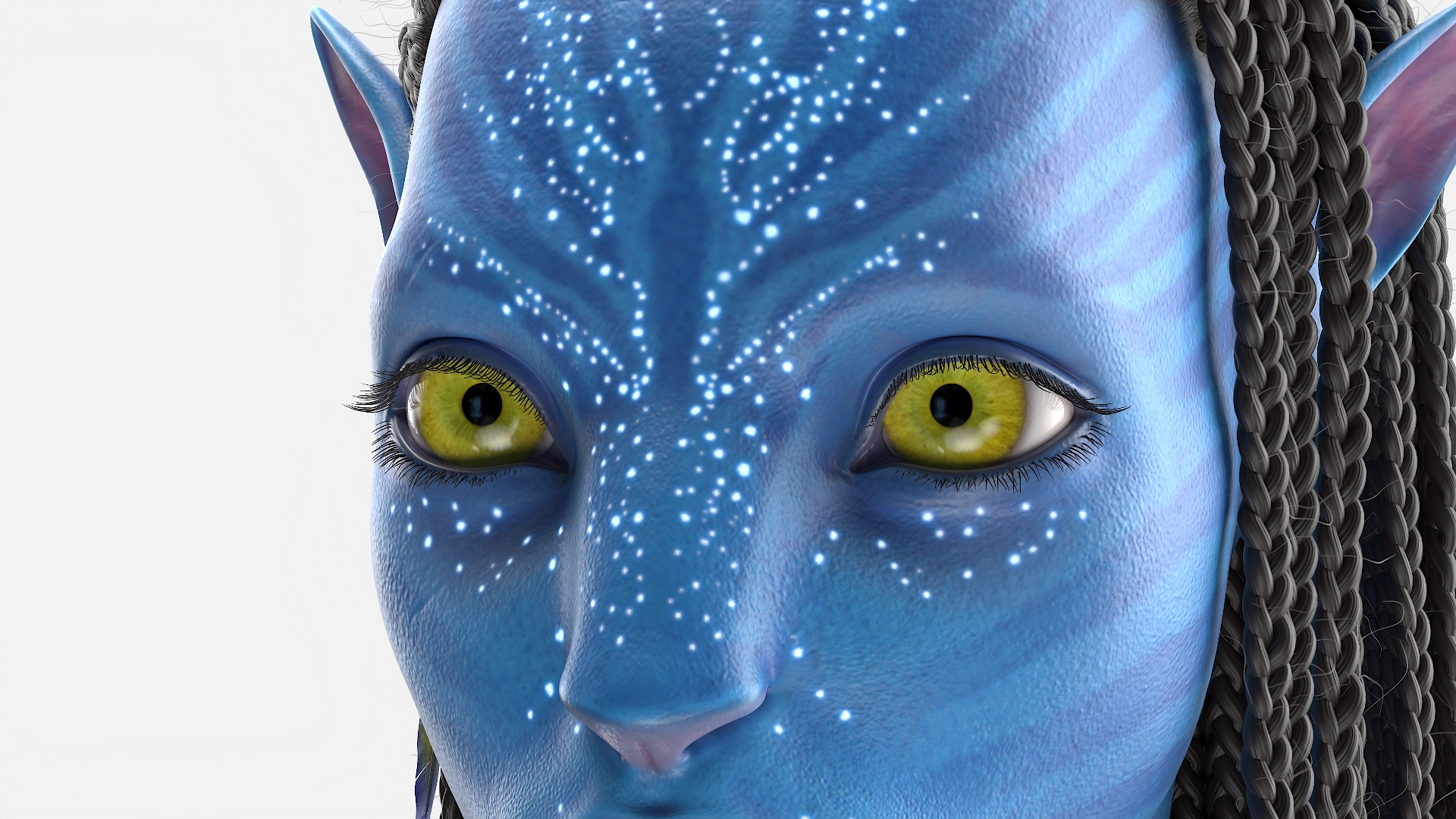 3D Neytiri Avatar Head Rigged