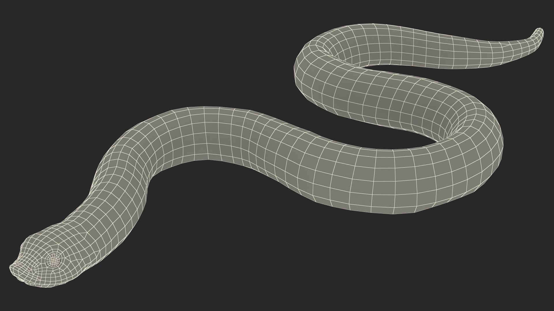 3D Crawling Brown Hognose Snake model