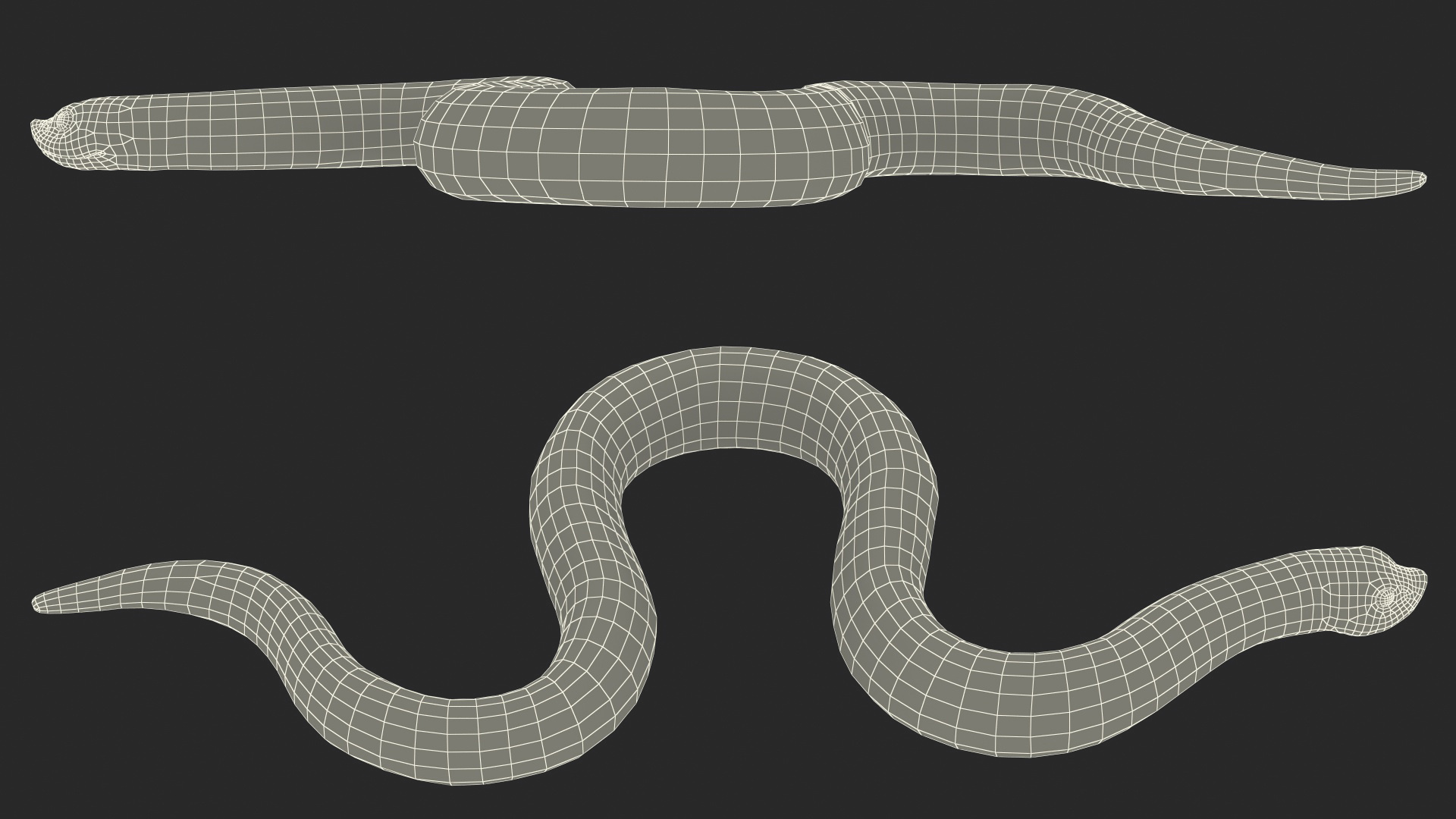 3D Crawling Brown Hognose Snake model