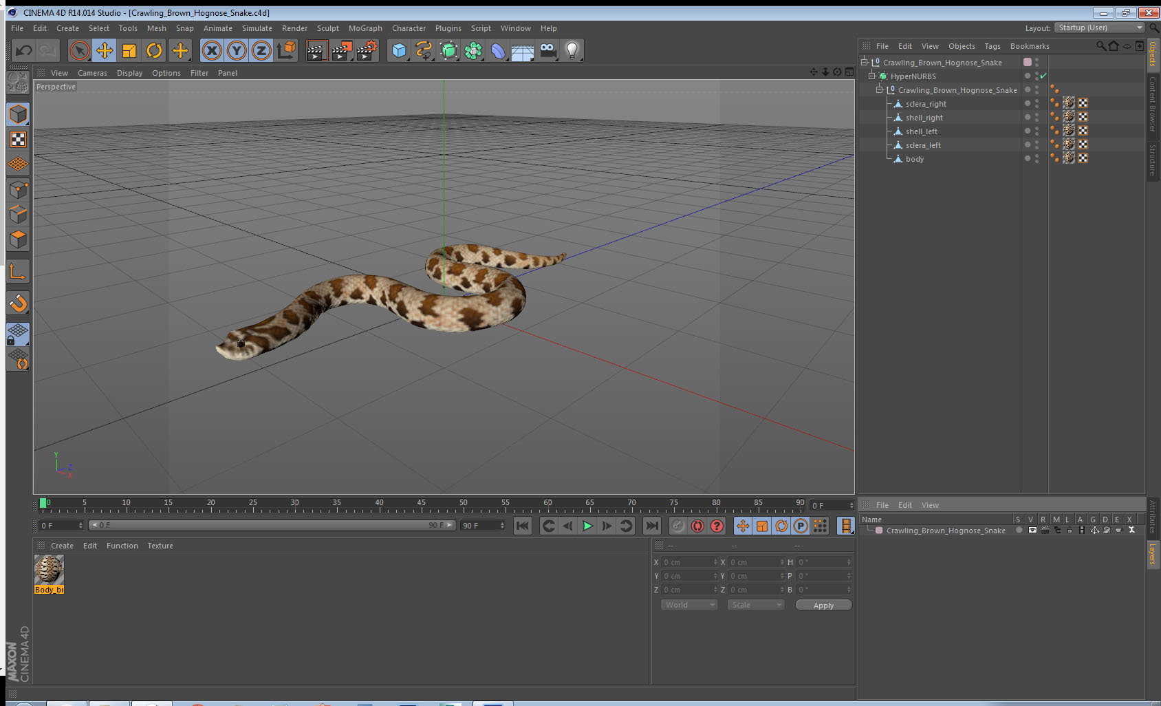 3D Crawling Brown Hognose Snake model