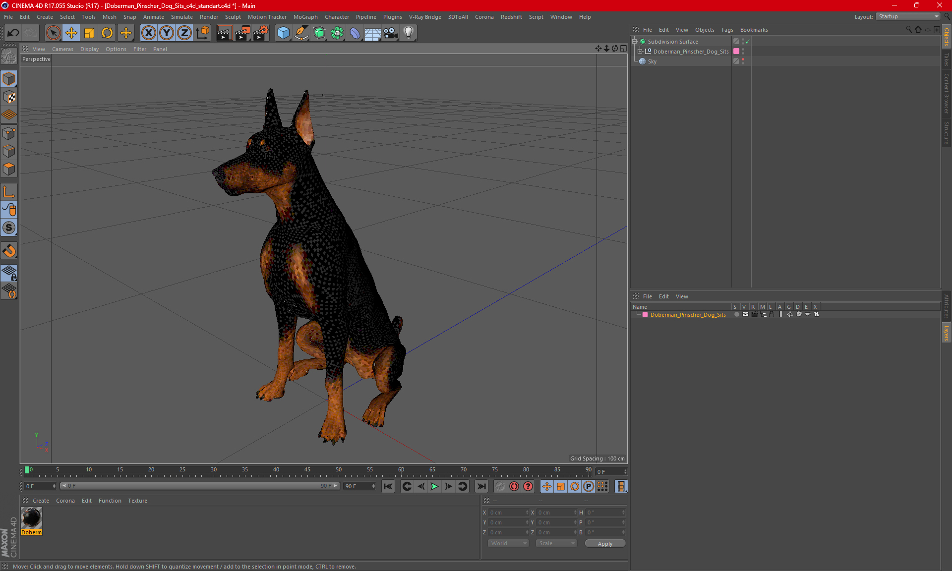 3D Doberman Pinscher Dog Sits