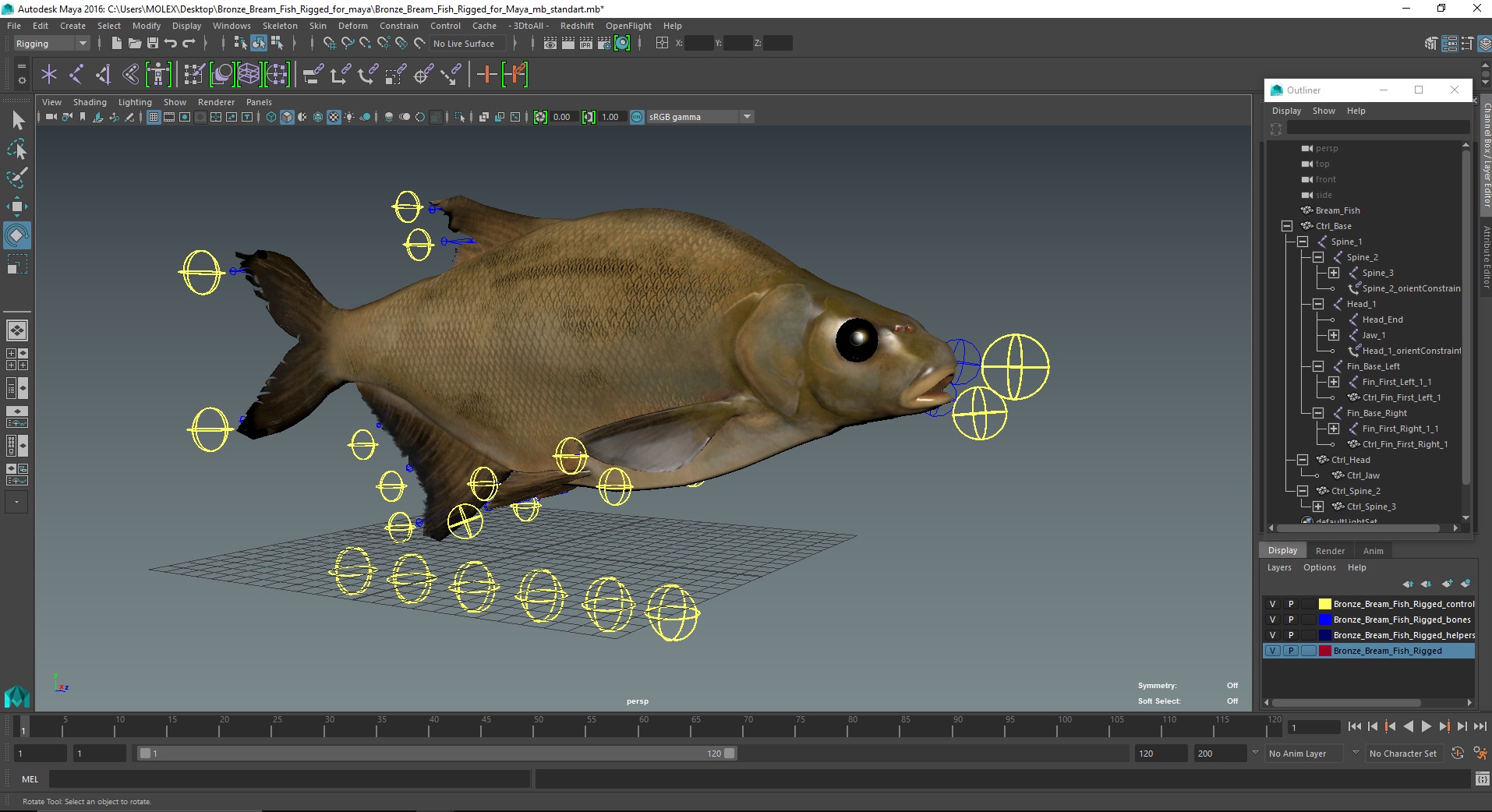 3D Bronze Bream Fish Rigged for Maya model