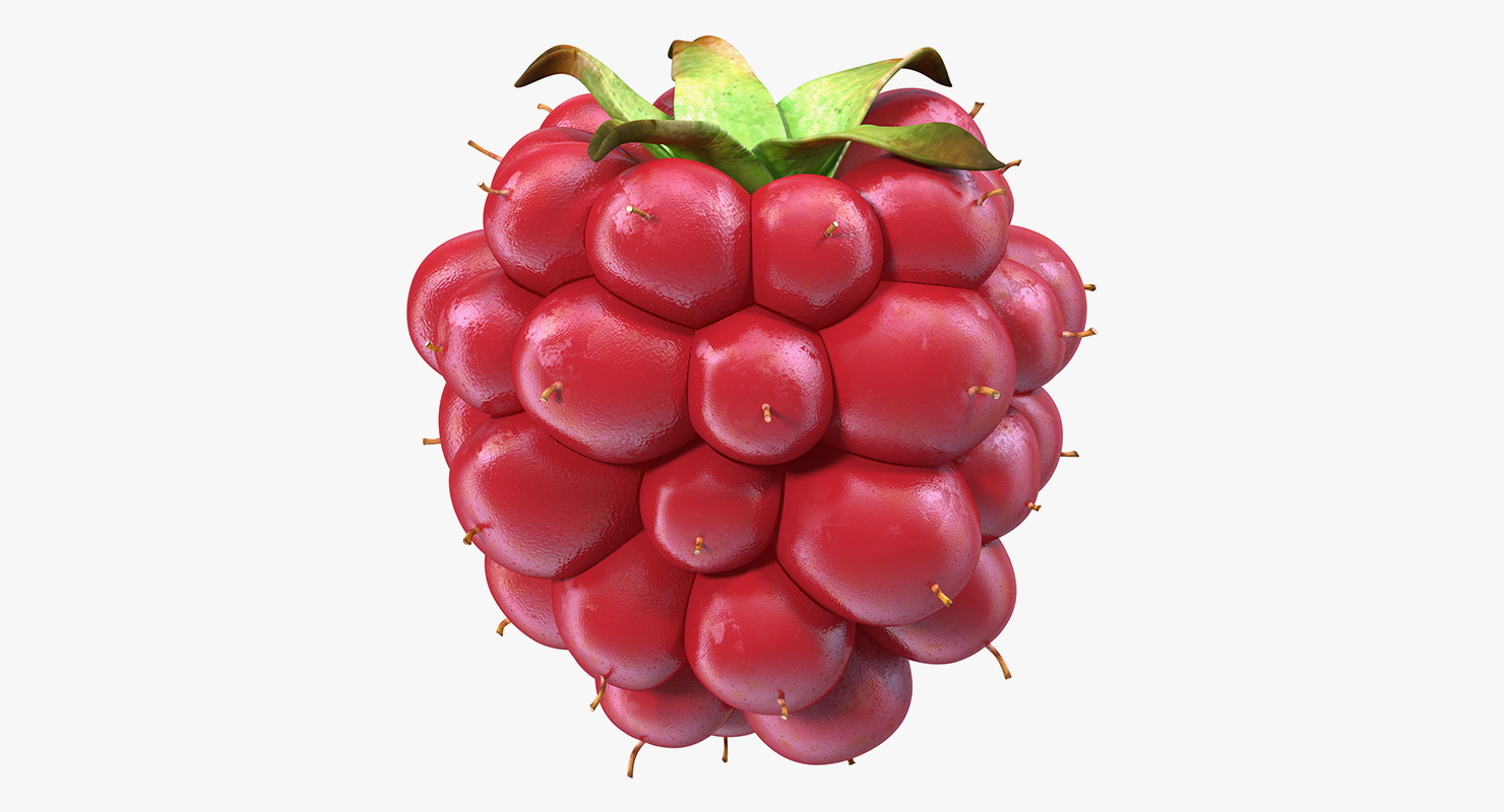 3D model Not Ripe Berry Blackberry