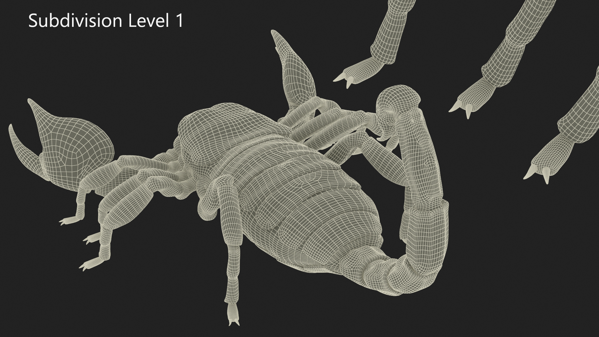 Realistic Scorpion with Fur 3D