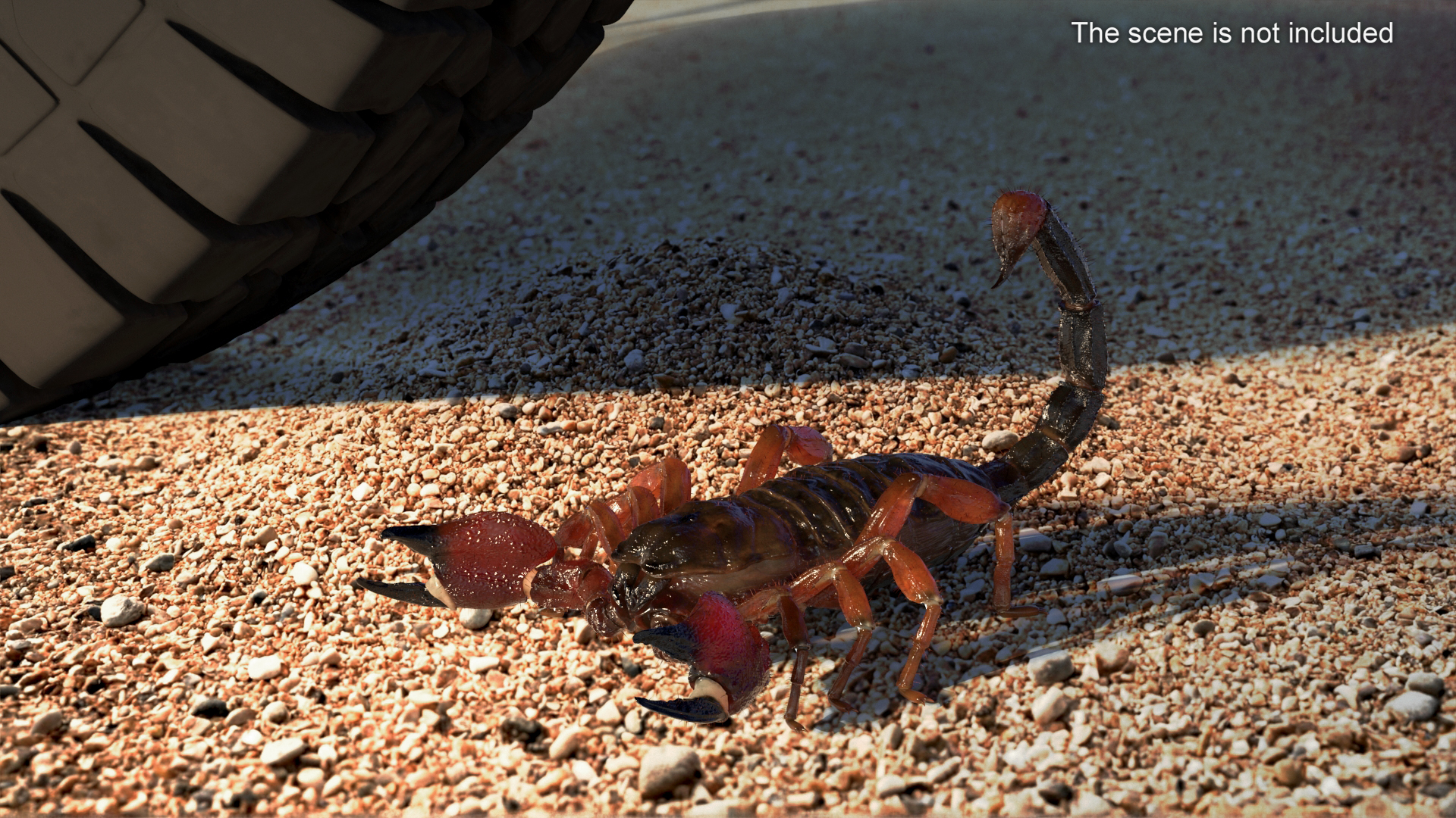 Realistic Scorpion with Fur 3D