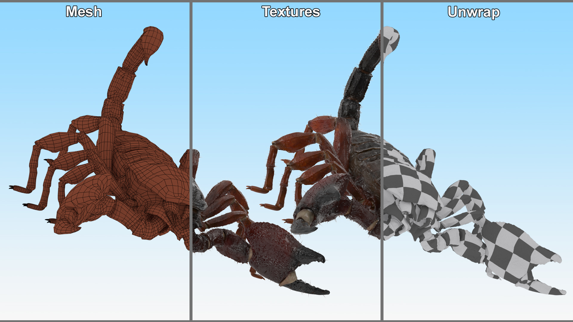 Realistic Scorpion with Fur 3D