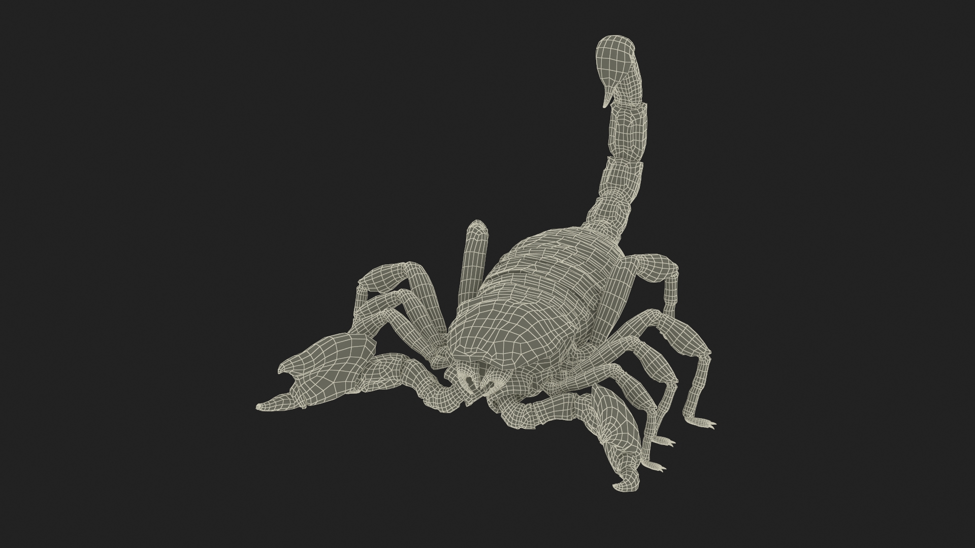 Realistic Scorpion with Fur 3D