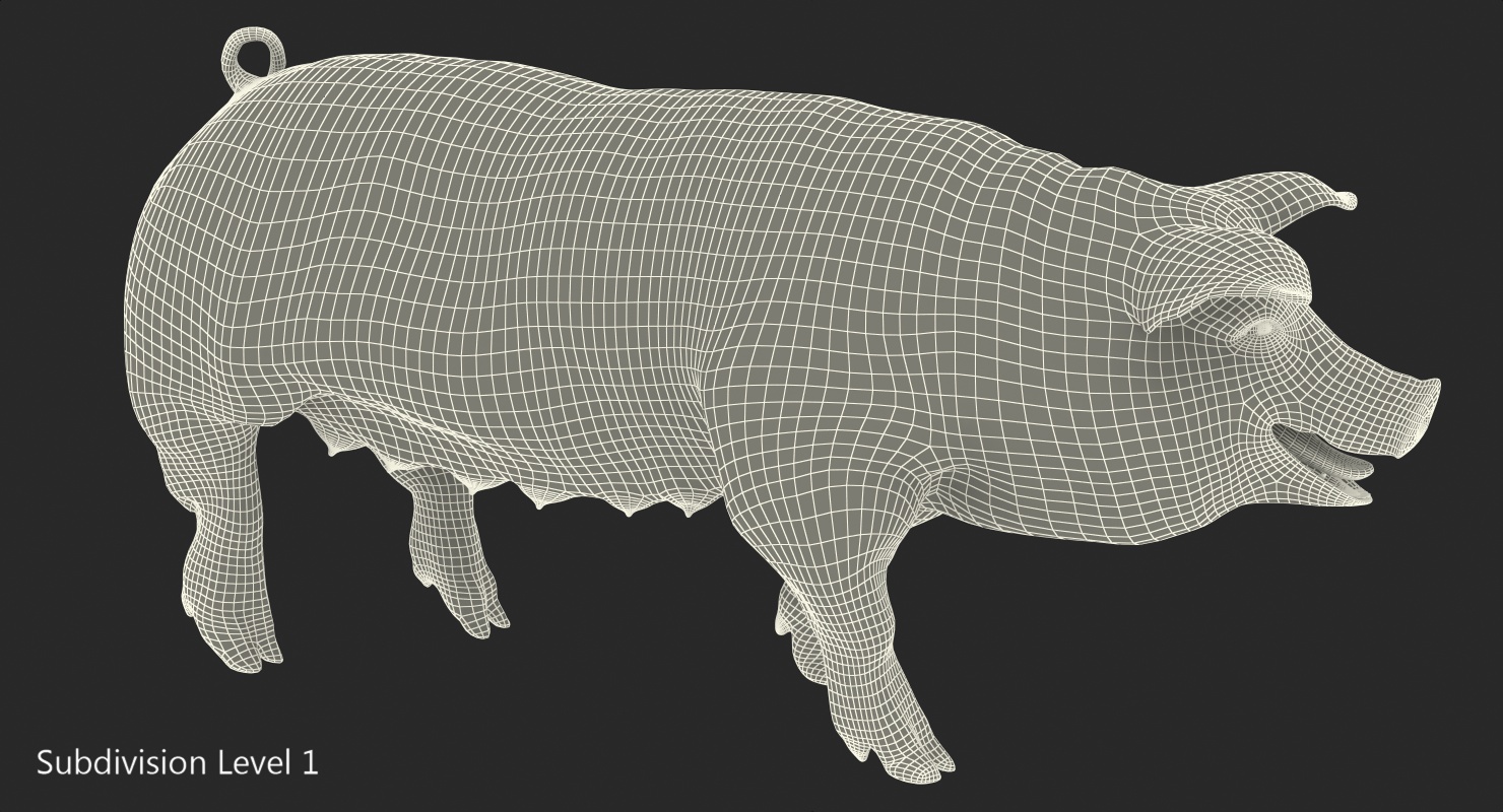 3D model Hampshire Pig Sow Walking Pose