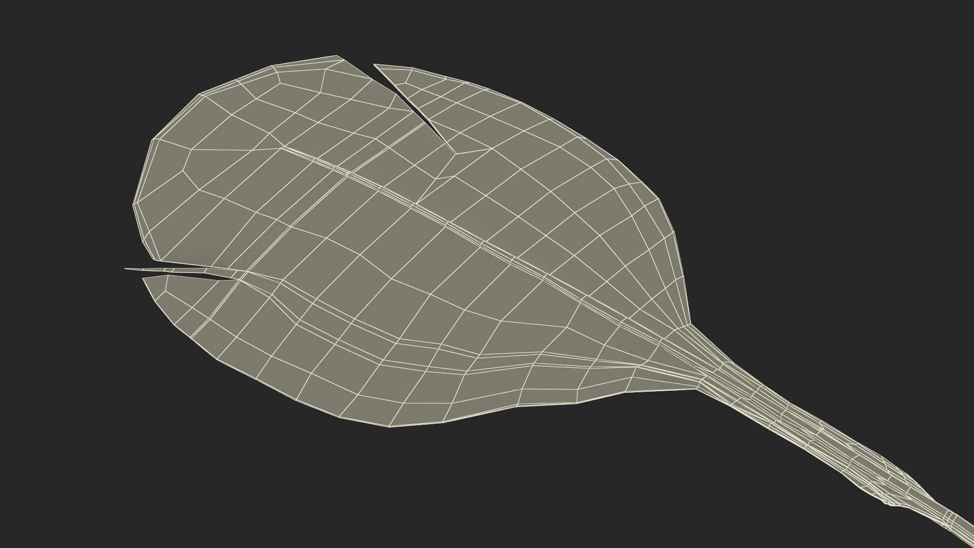 Helmeted Gvineafowl Feather 3D