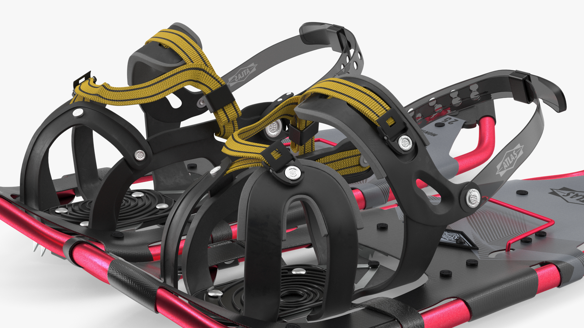 Tourist Snowshoes Atlas Red 3D