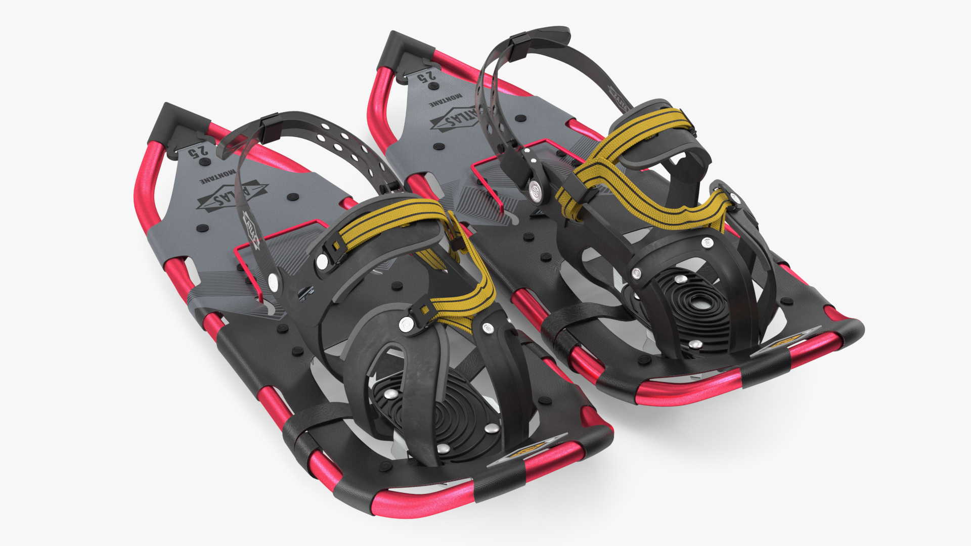 Tourist Snowshoes Atlas Red 3D