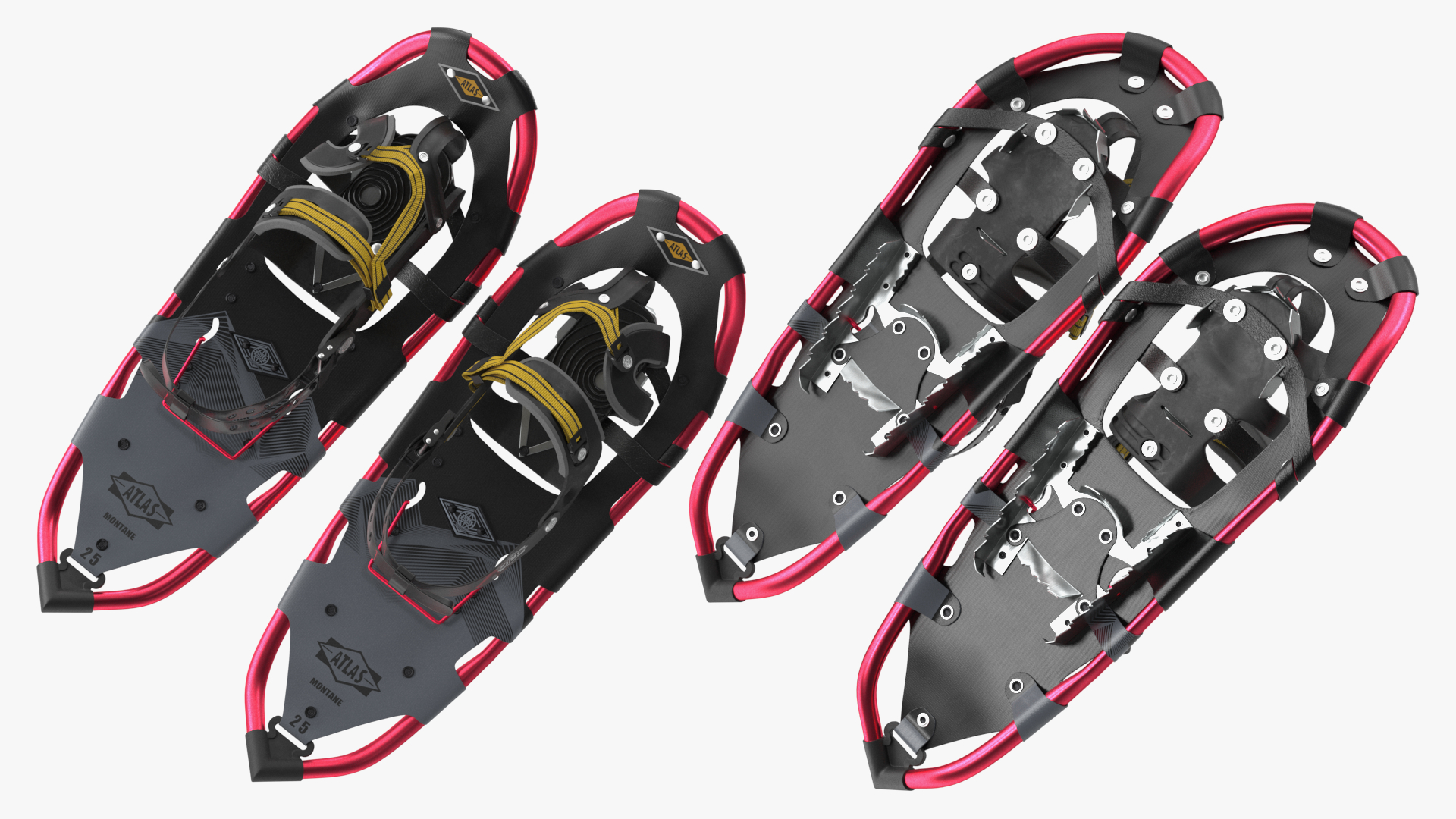 Tourist Snowshoes Atlas Red 3D