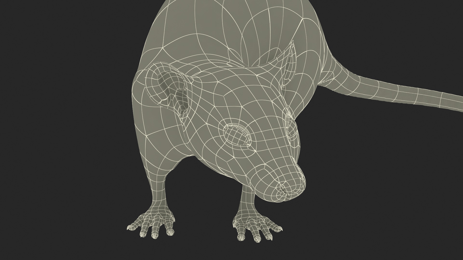 3D Dumbo Rat Fur model