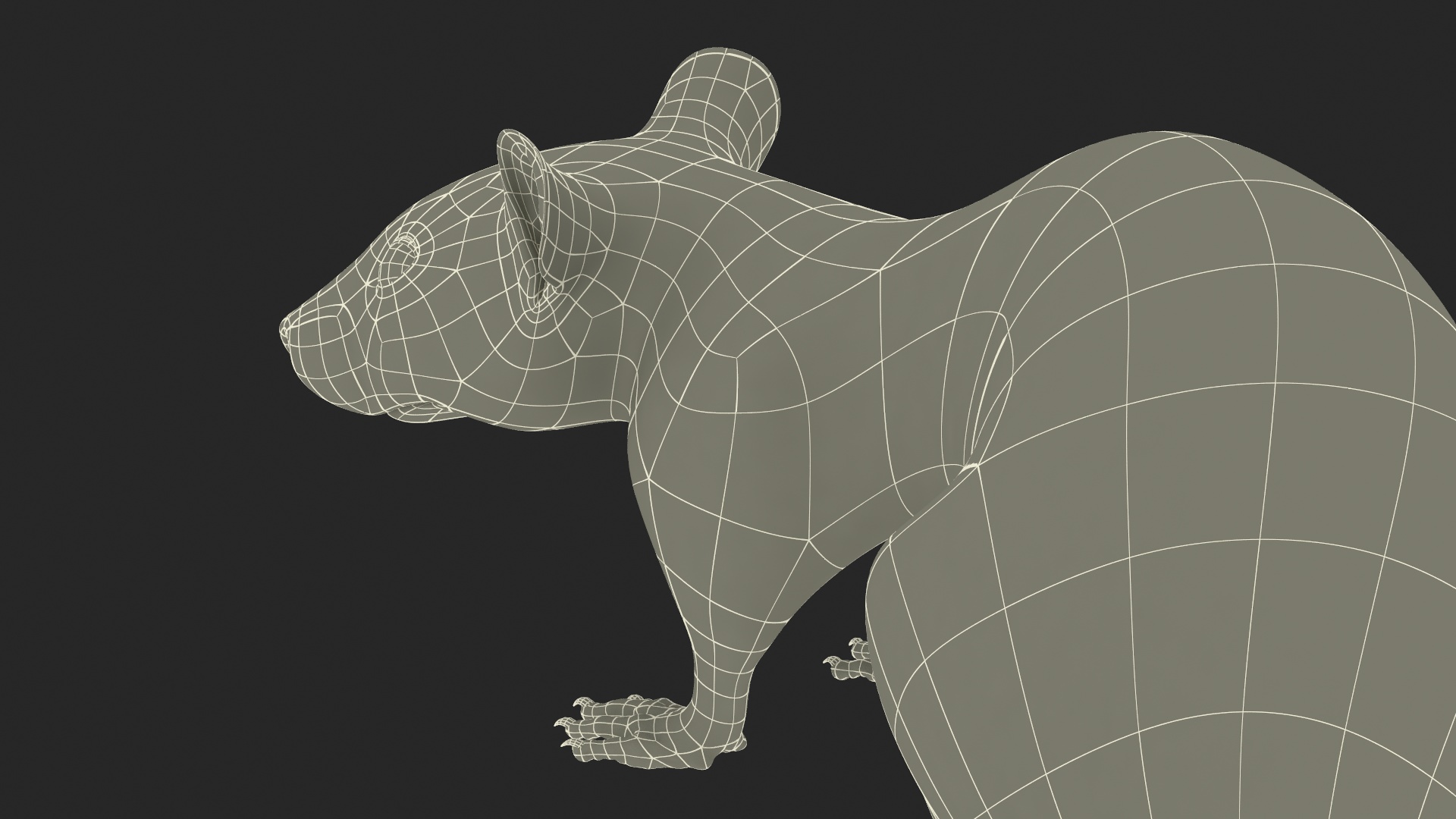 3D Dumbo Rat Fur model