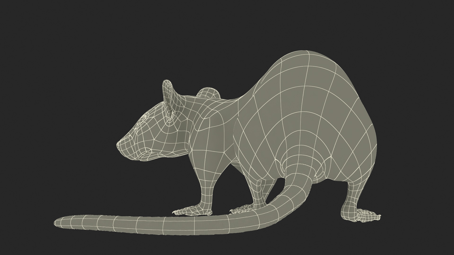 3D Dumbo Rat Fur model