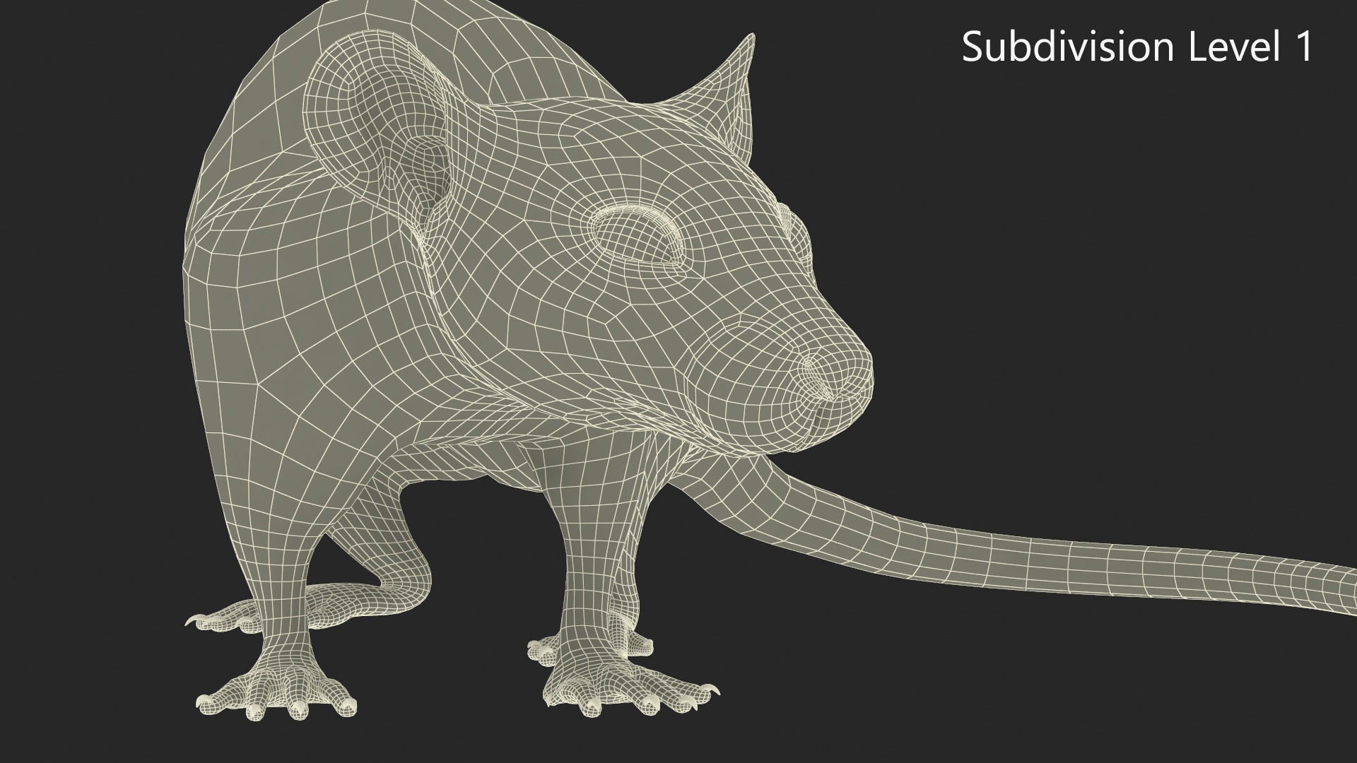 3D Dumbo Rat Fur model