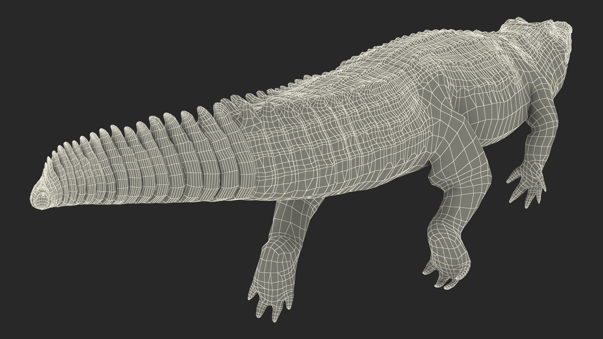 3D Animated Crocodile Swiming Rigged model