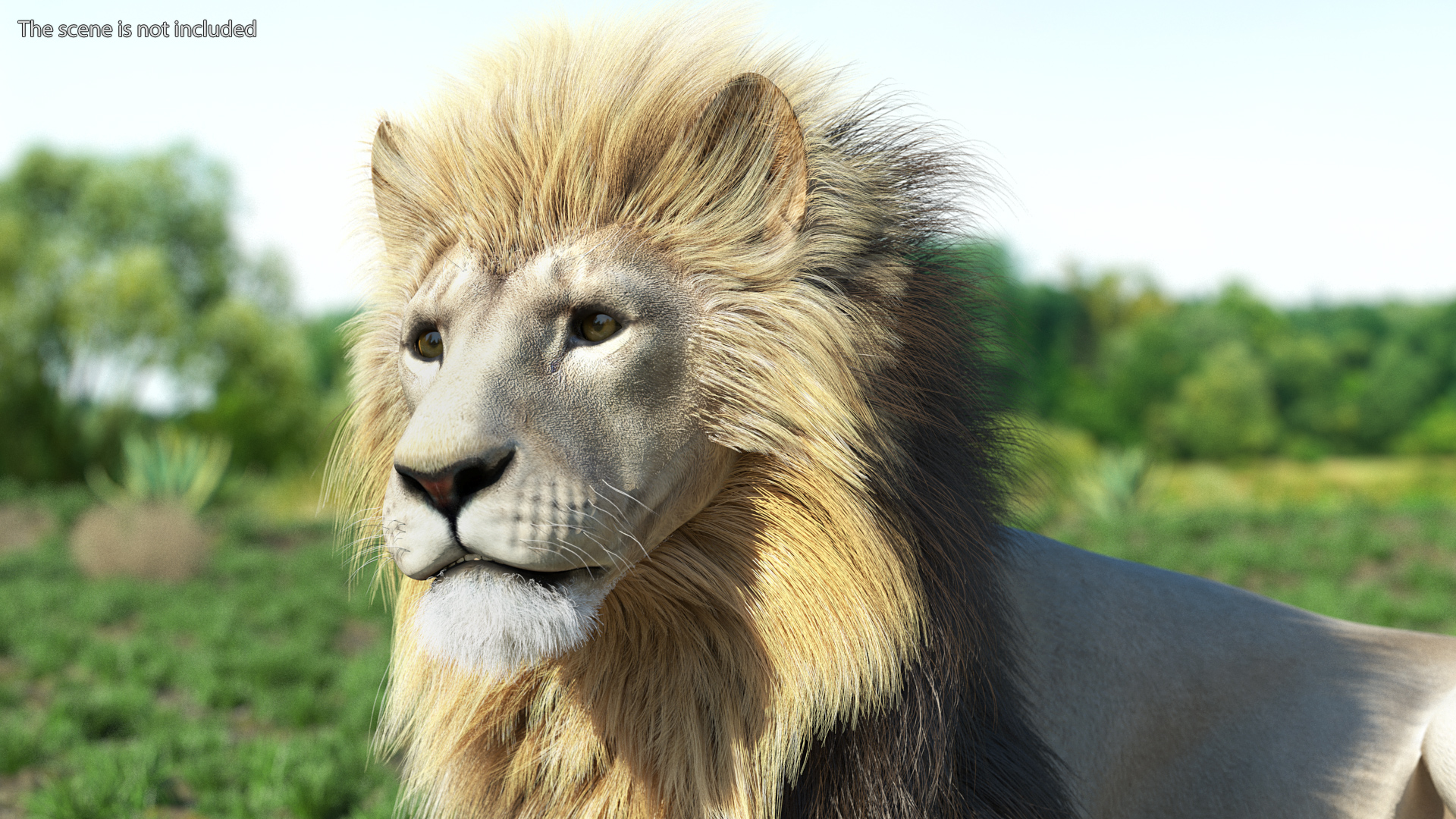 3D White Male Lion Fur Rigged