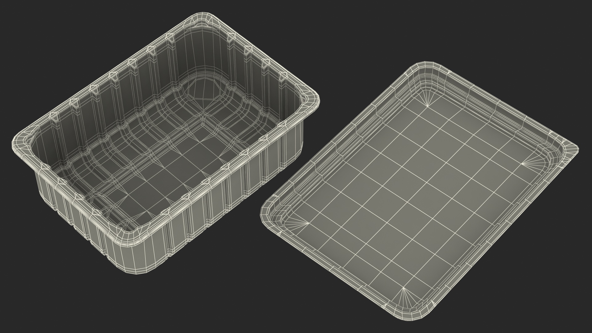 3D model Disposable Plastic Food Tray with Lid 21x15cm