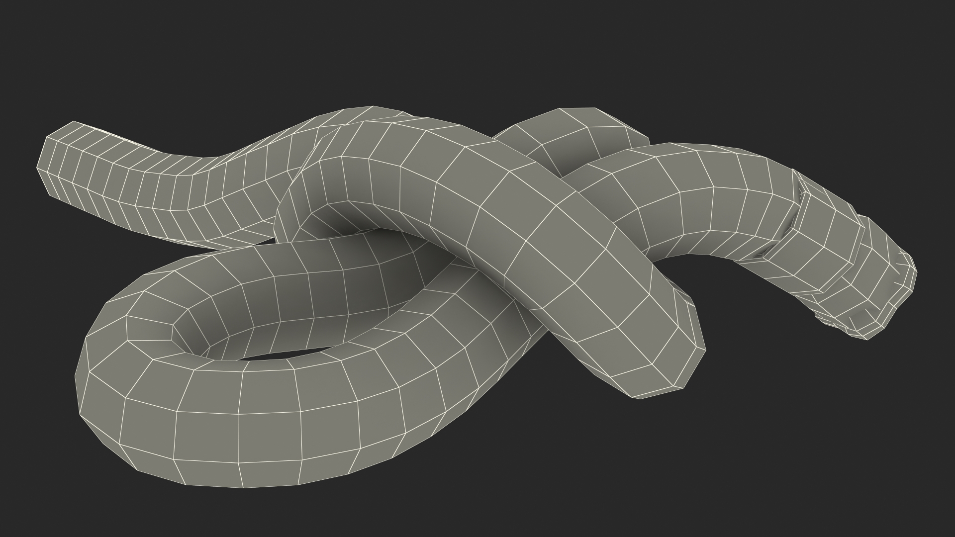 Slip Knot 3D model