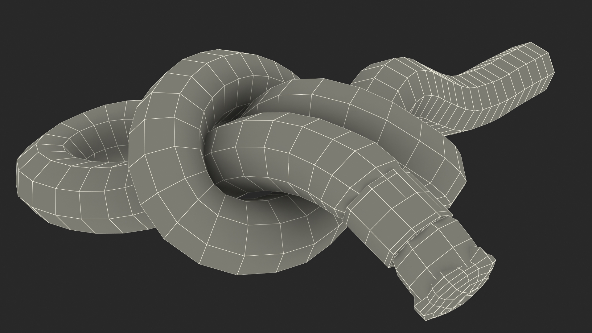 Slip Knot 3D model