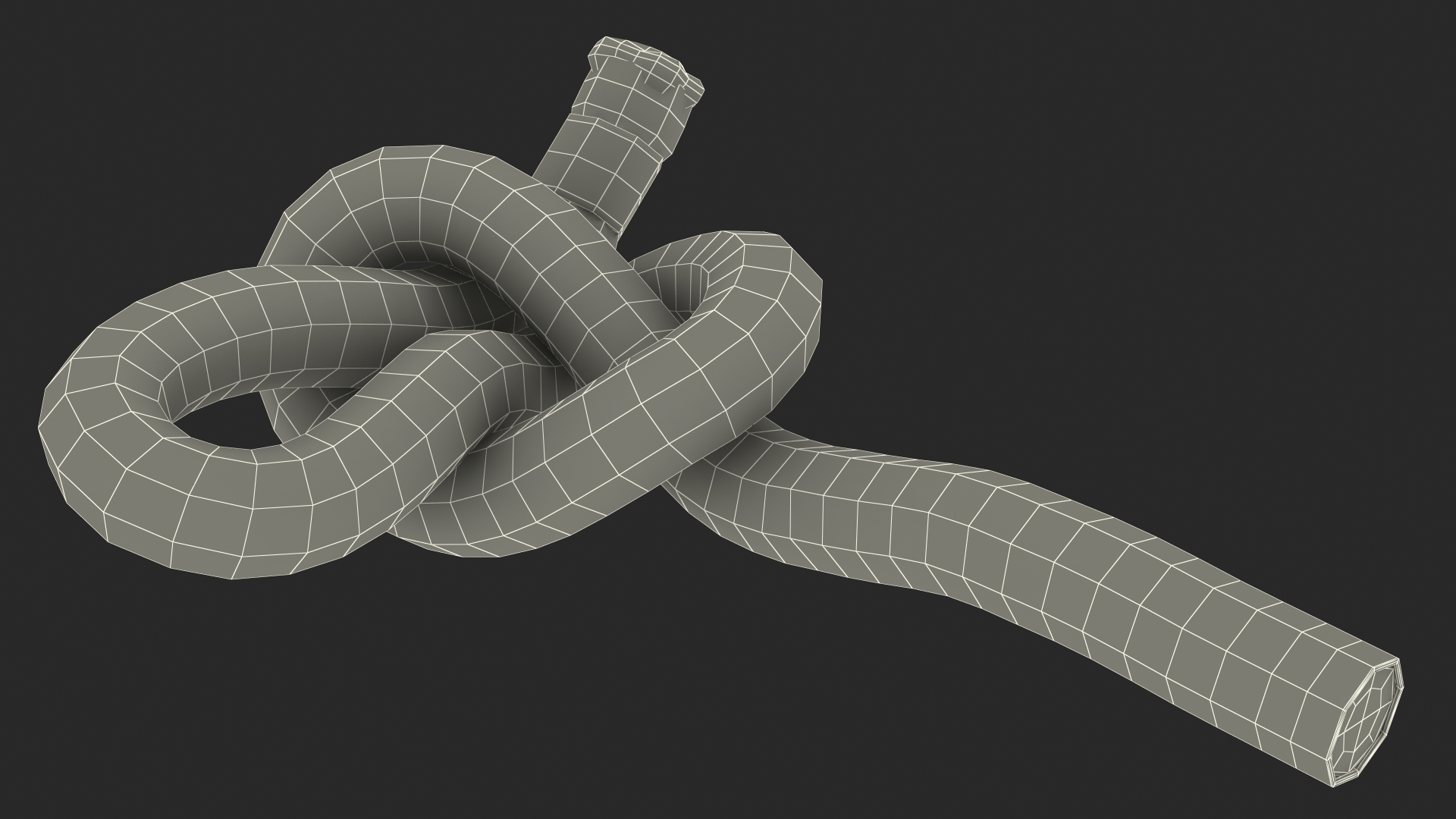 Slip Knot 3D model