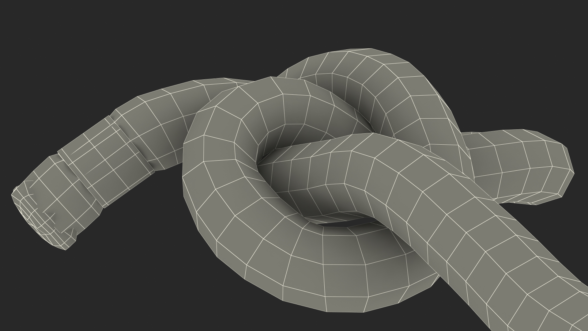 Slip Knot 3D model