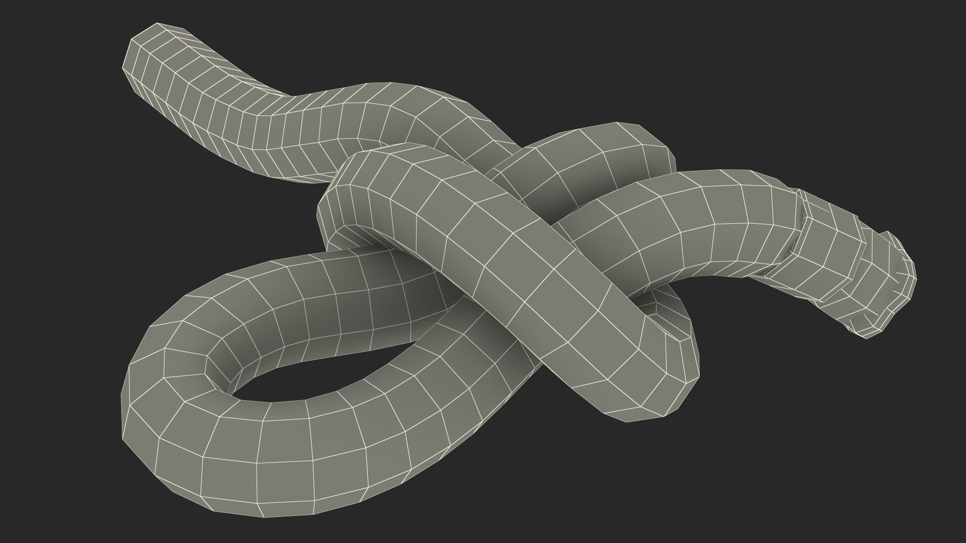 Slip Knot 3D model