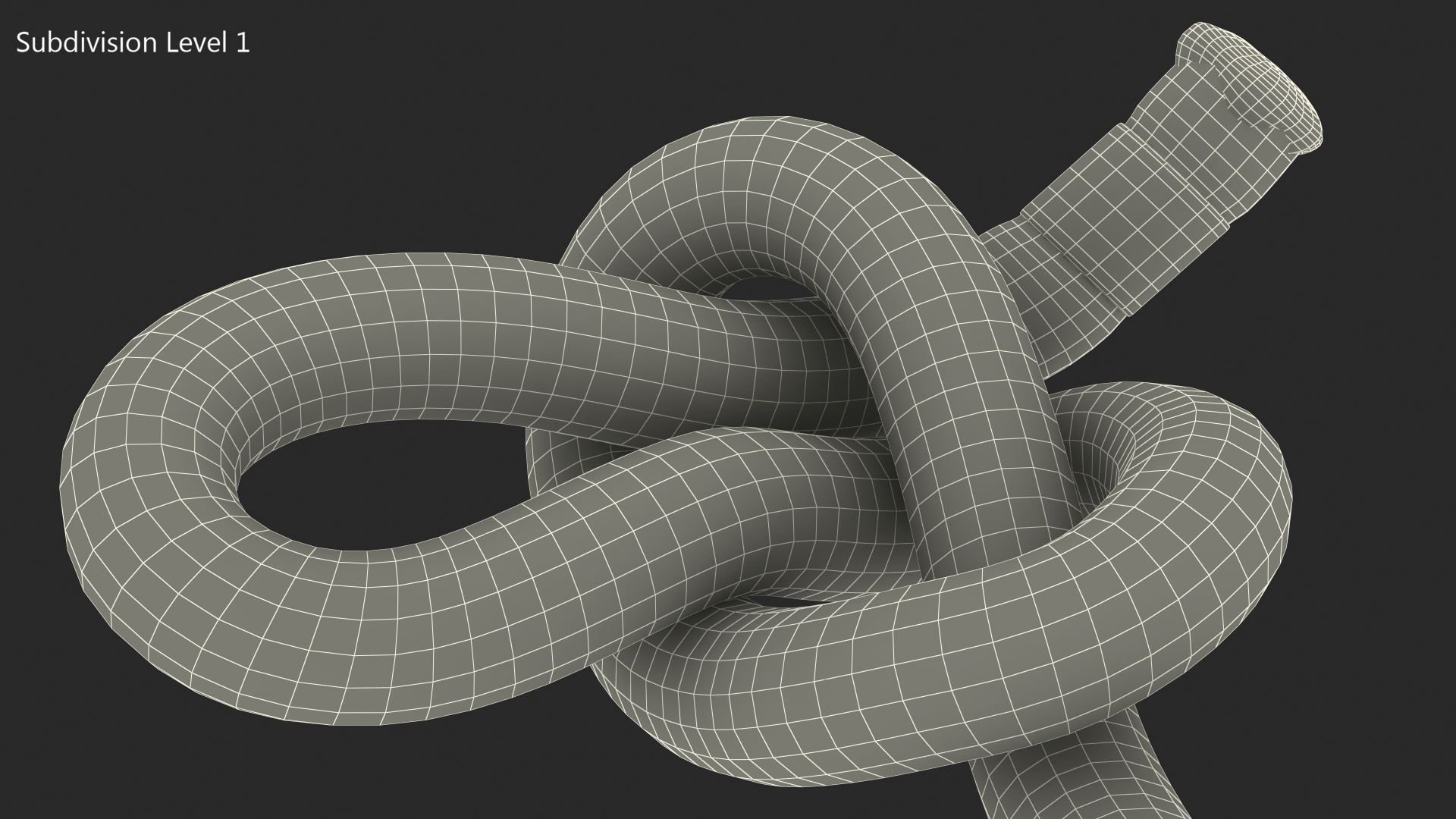 Slip Knot 3D model