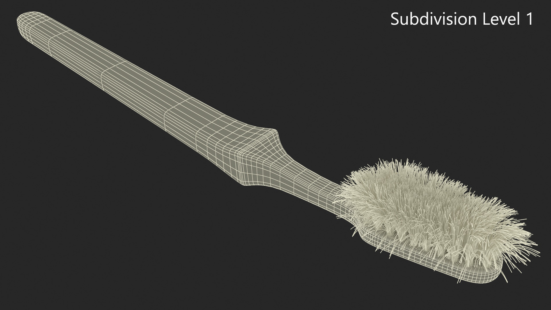 3D model Used Toothbrush