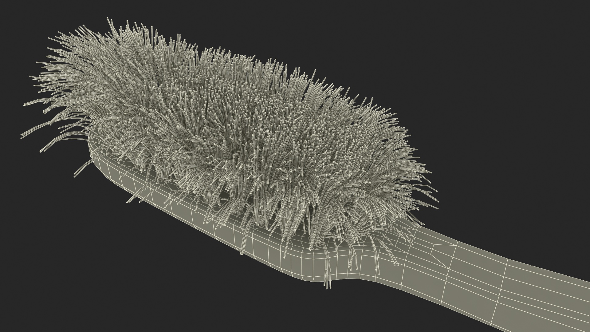 3D model Used Toothbrush