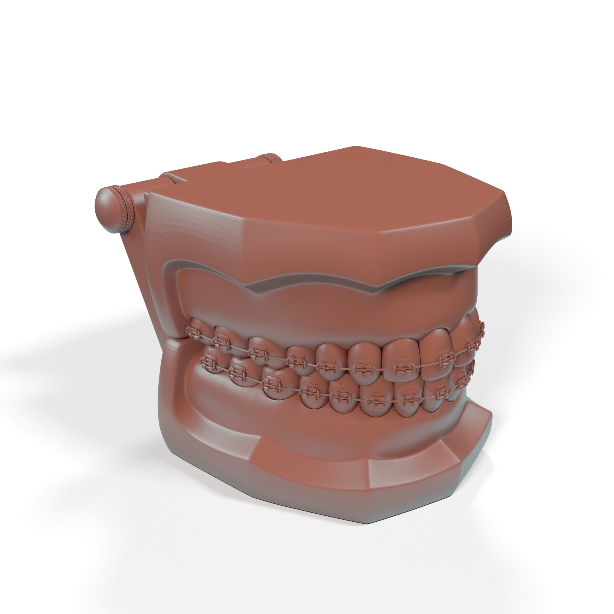 3D Ligature Braces on Teeth Model for 3D Print model