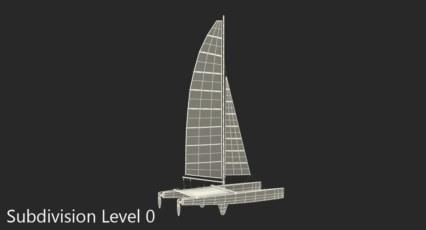 International A Class Catamaran Generic 3D model