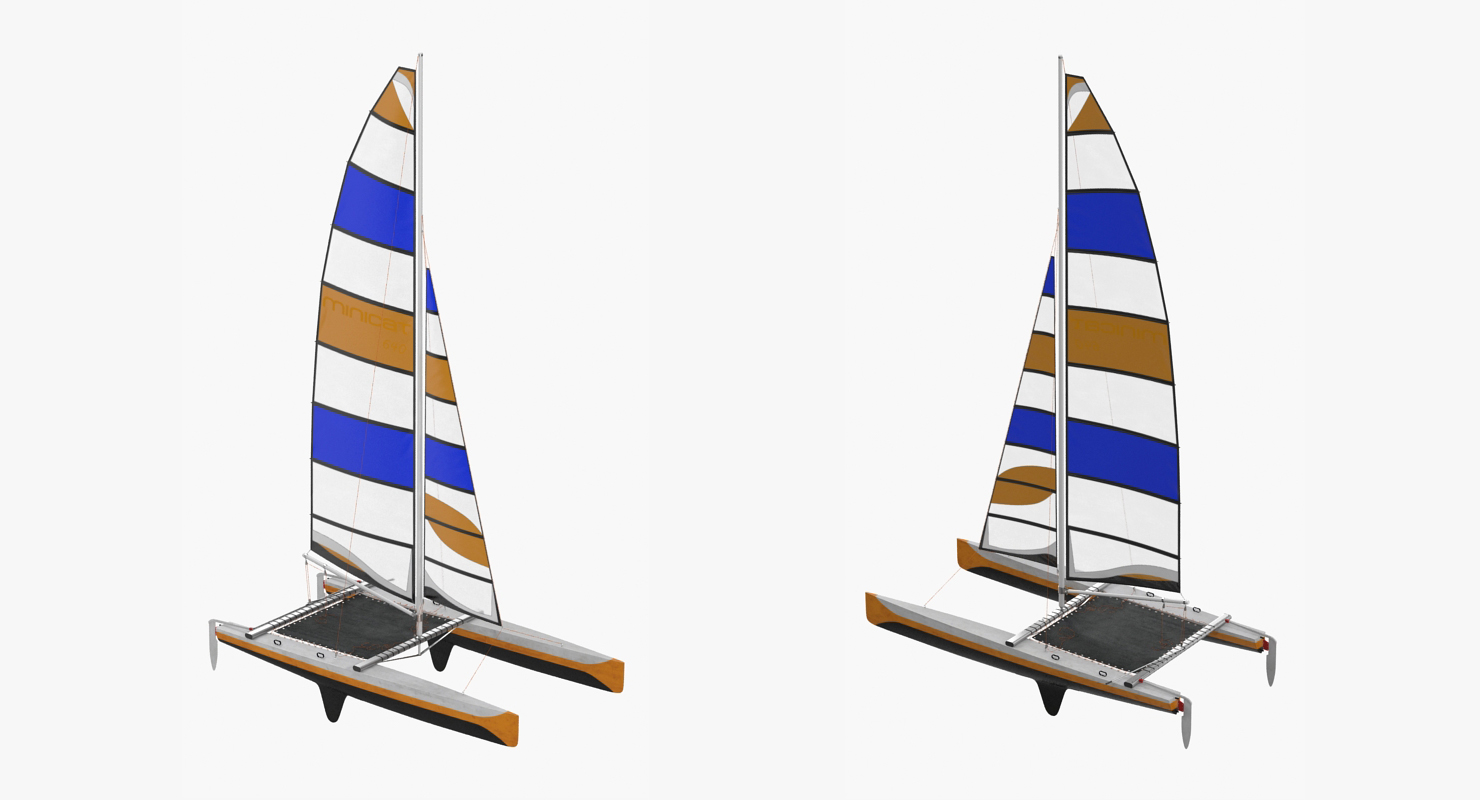 International A Class Catamaran Generic 3D model