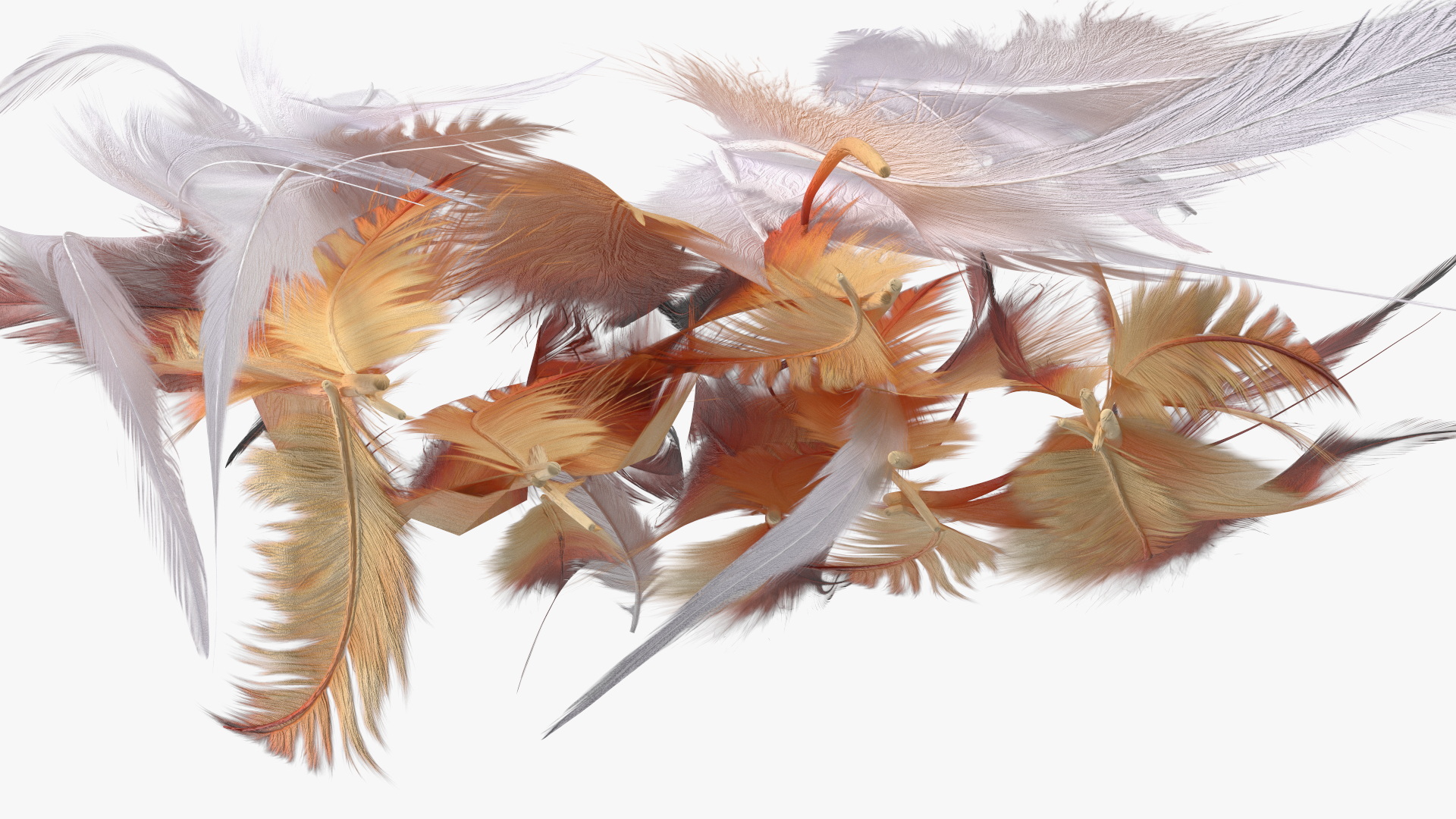 Natural Color Feathers 3D