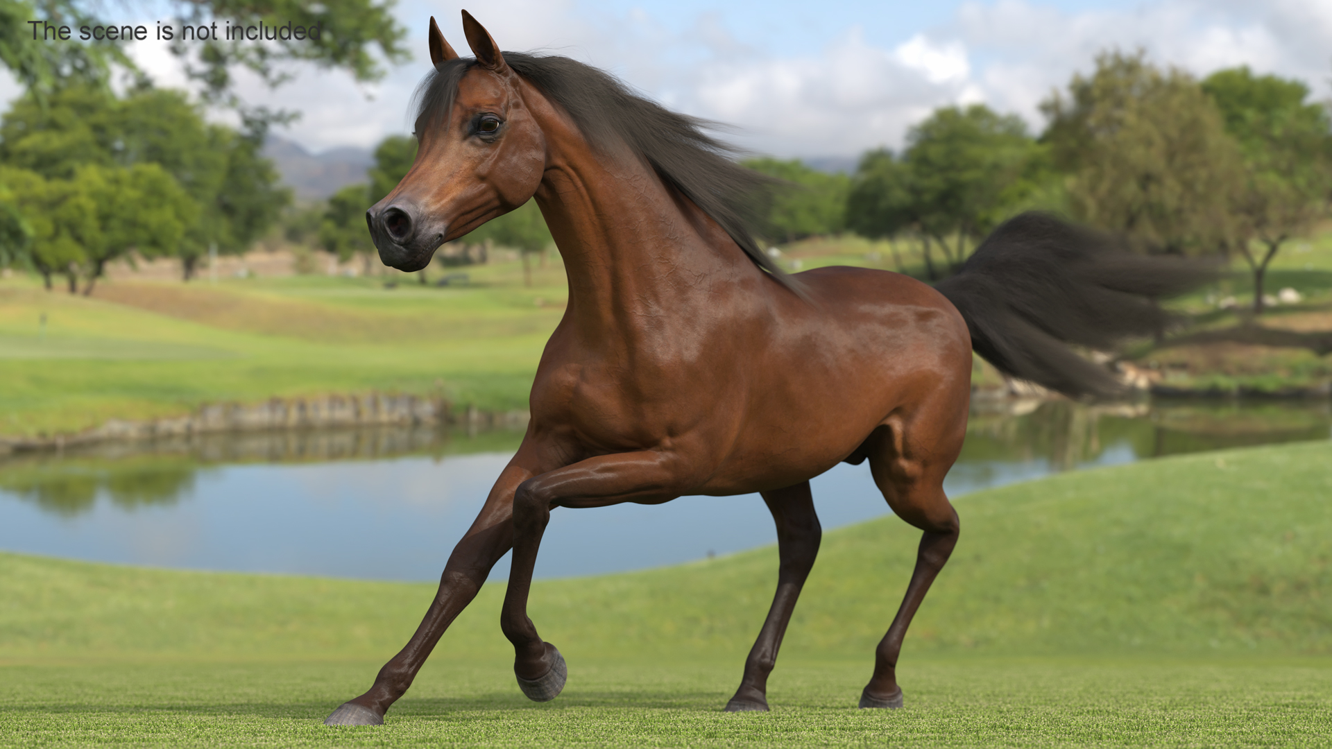 3D Galloping Arabian Horse Brown Fur model