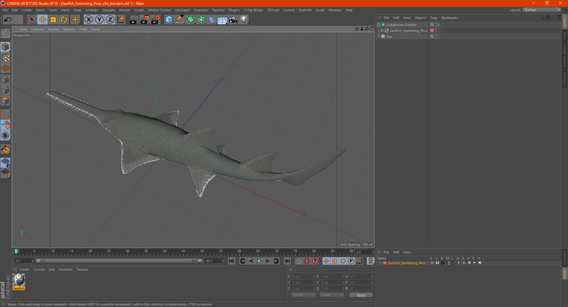 3D Sawfish Swimming Pose