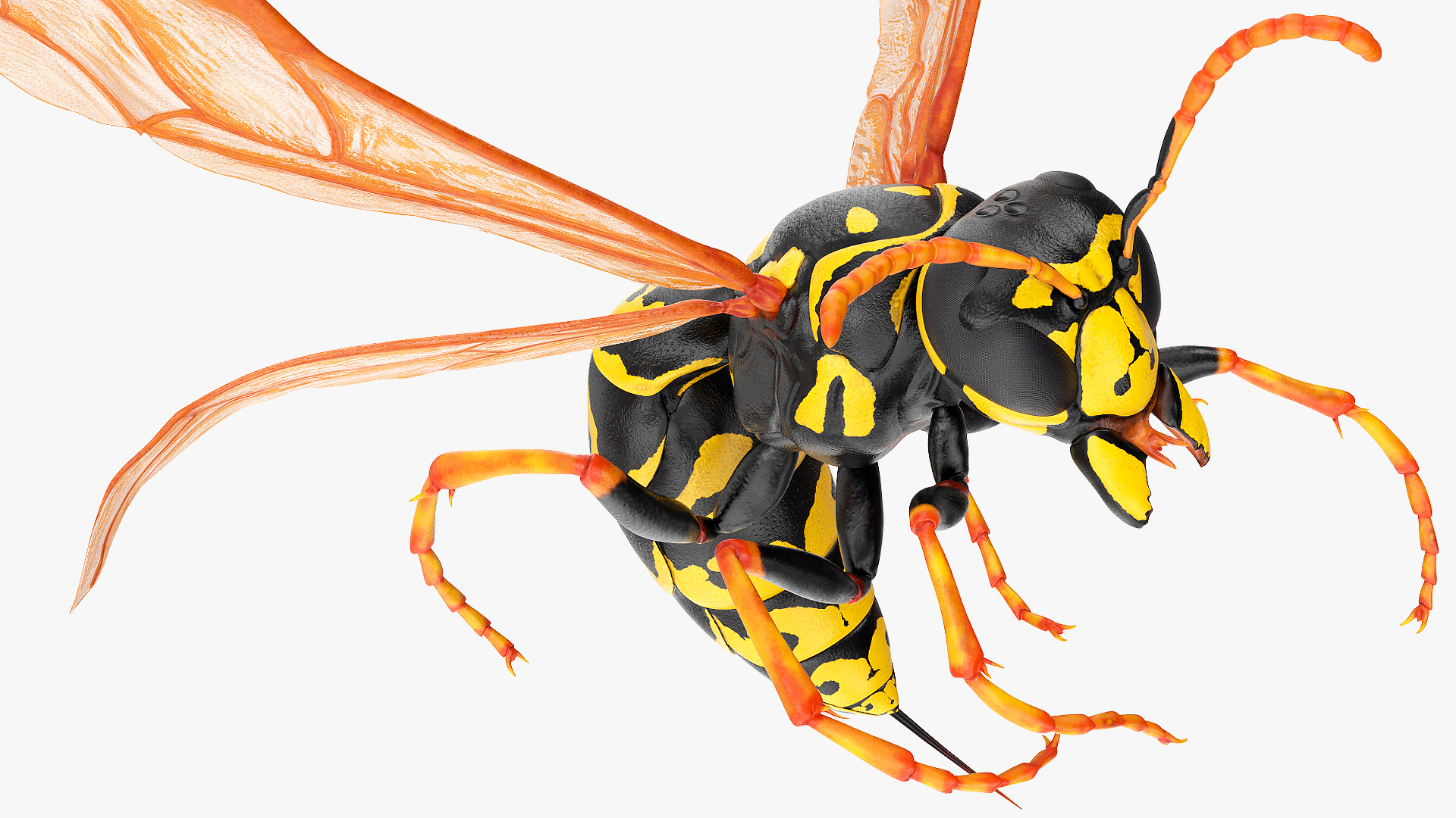 Paper Wasp Rigged 3D