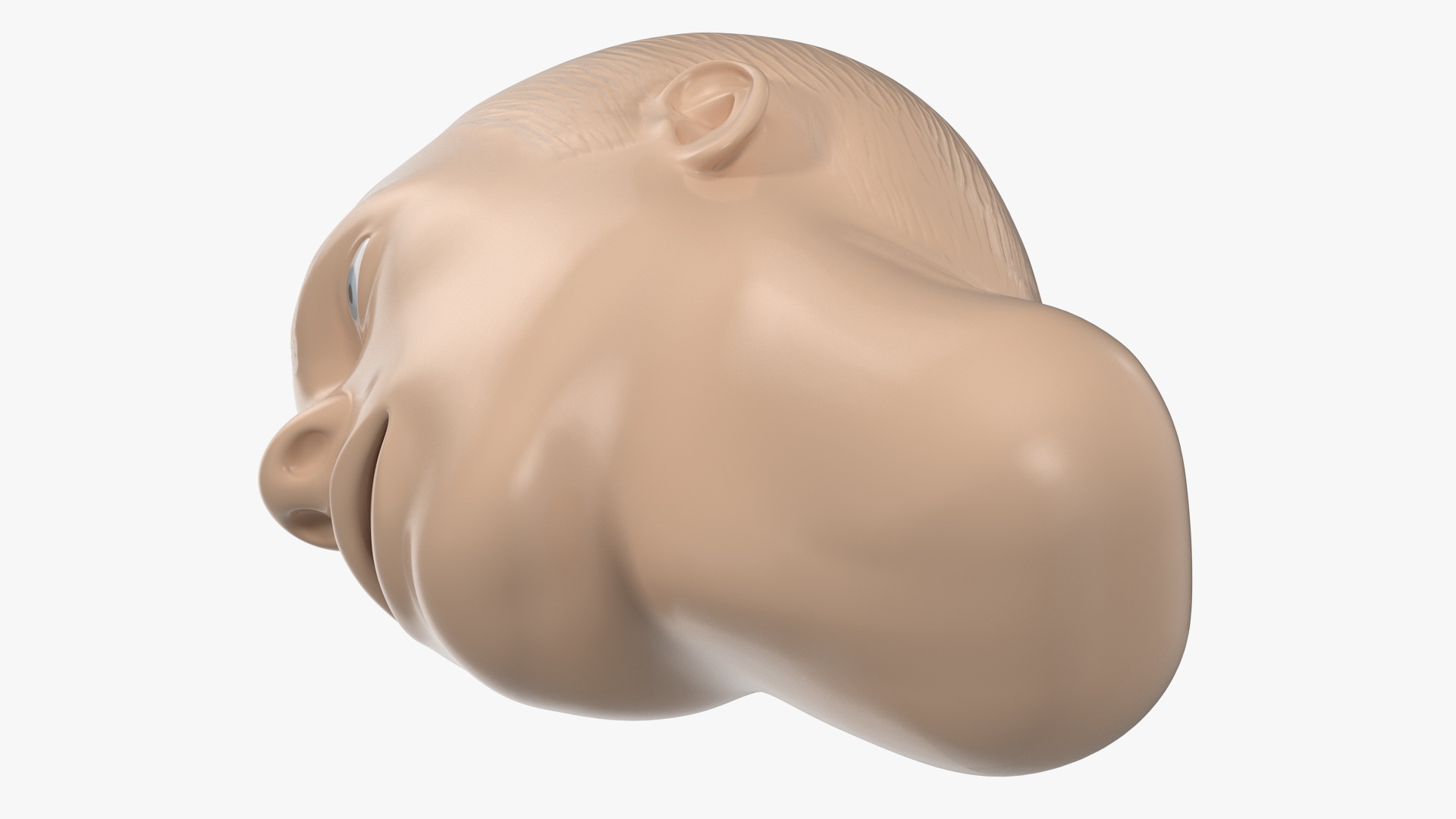 Manikin Head 3D