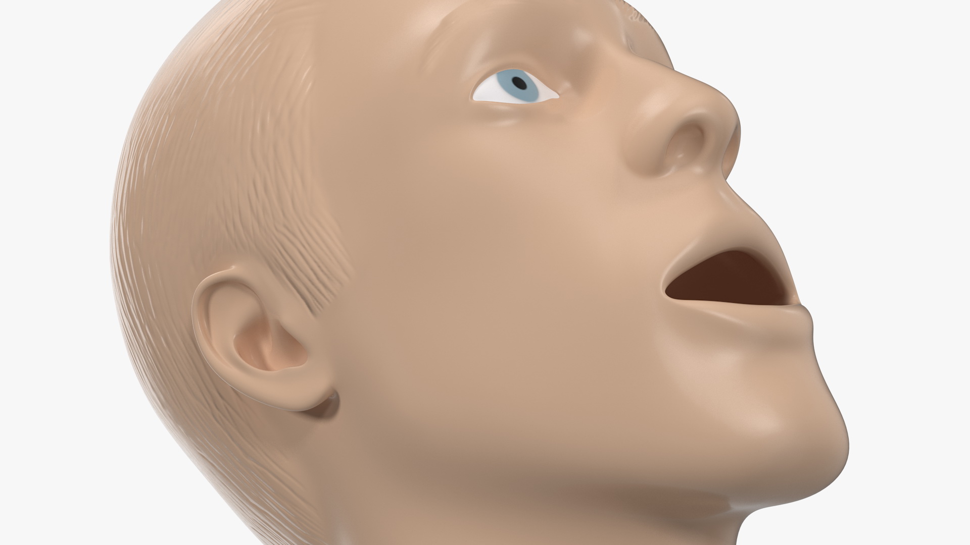 Manikin Head 3D