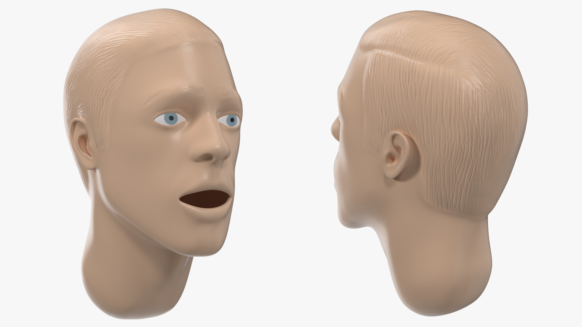 Manikin Head 3D