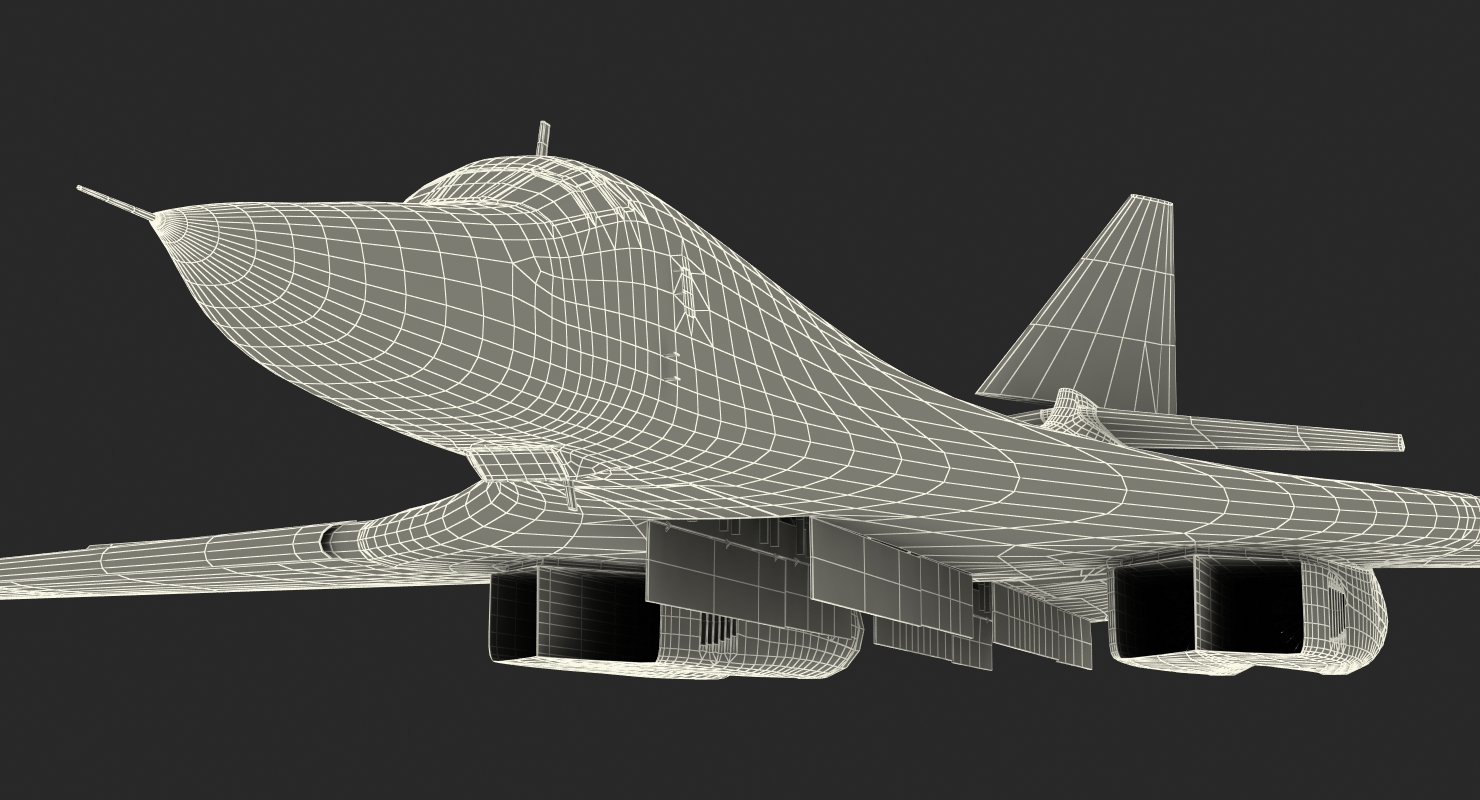 3D Strategic Bomber Tupolev Tu 160 Blackjack Rigged model