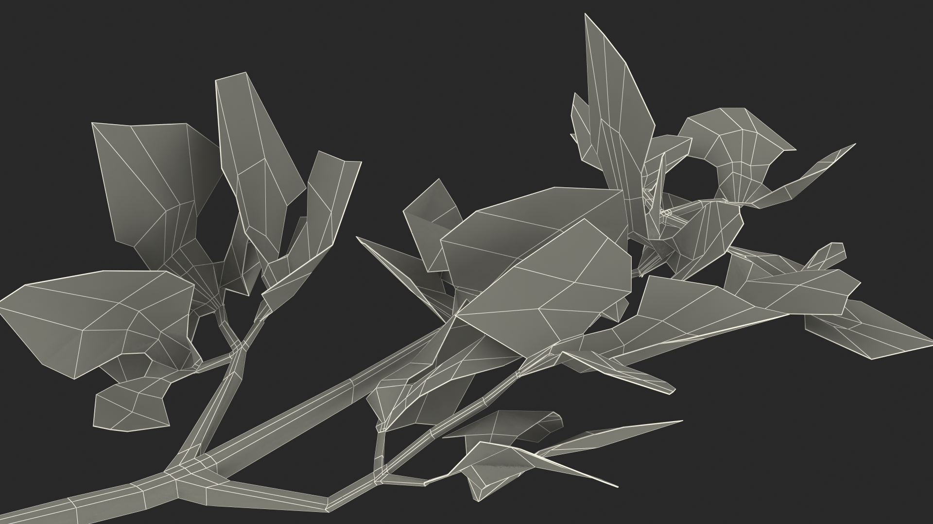 Heap of Parsley Leaves 3D