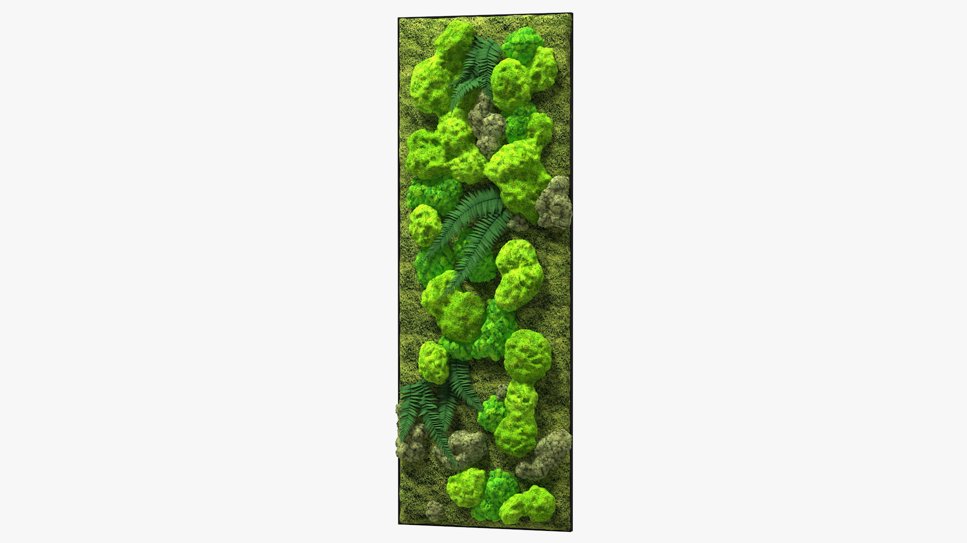 Green Moss Wall with Preserved Plants 3D