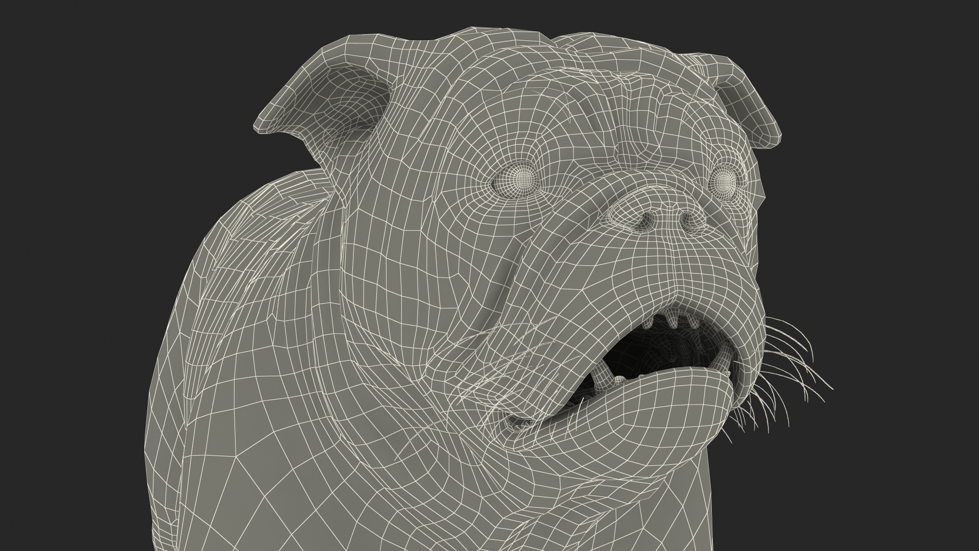 3D Bulldog Fur Rigged model