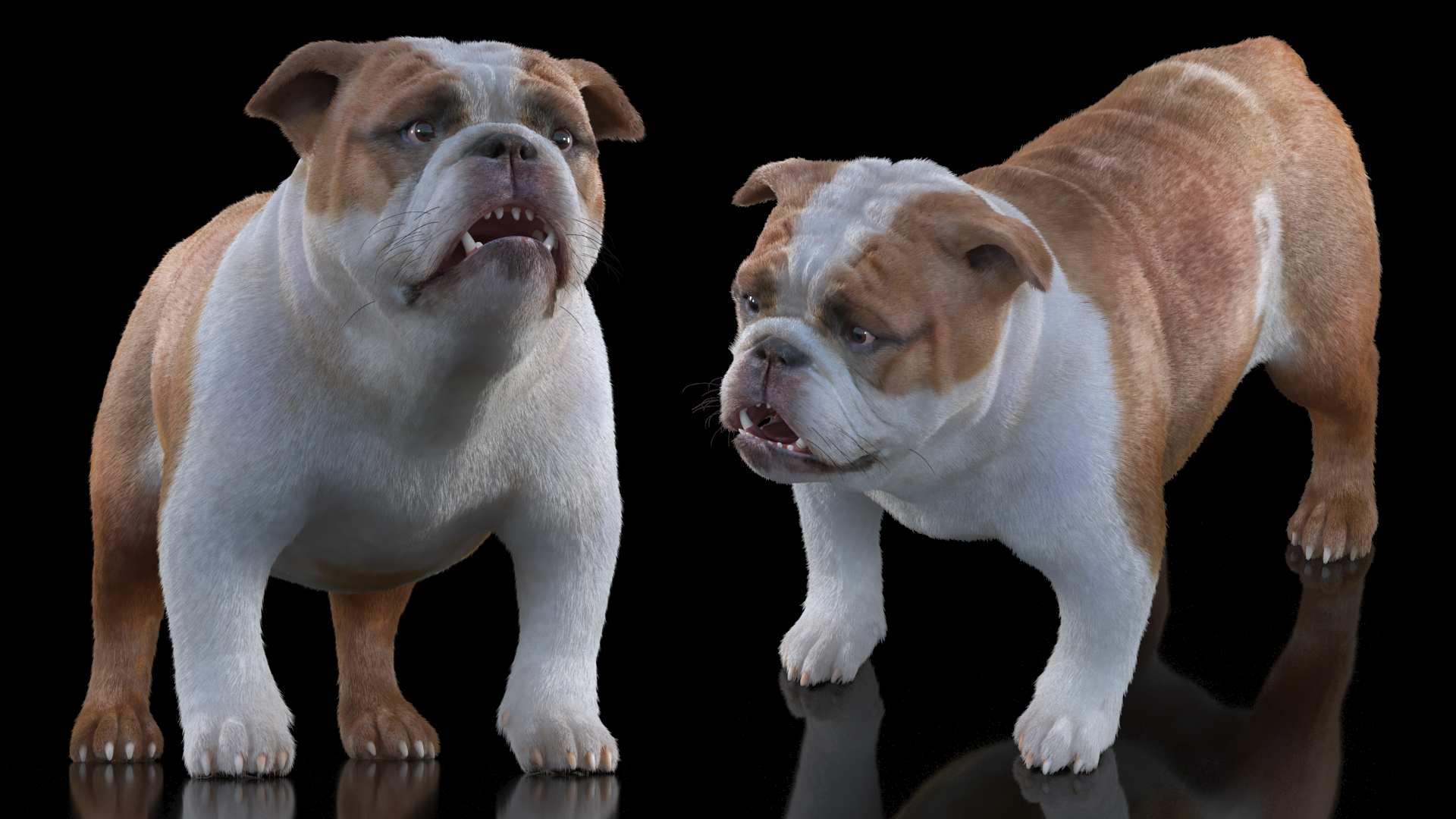 3D Bulldog Fur Rigged model