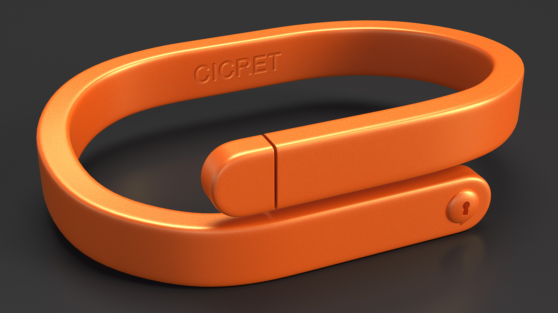 3D model Cicret Bracelet