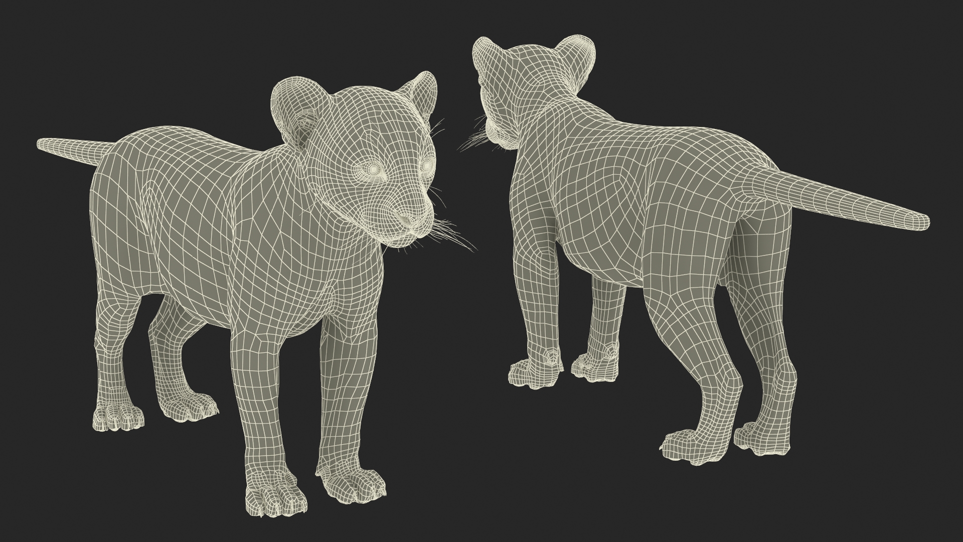 3D model Panther Cub Fur