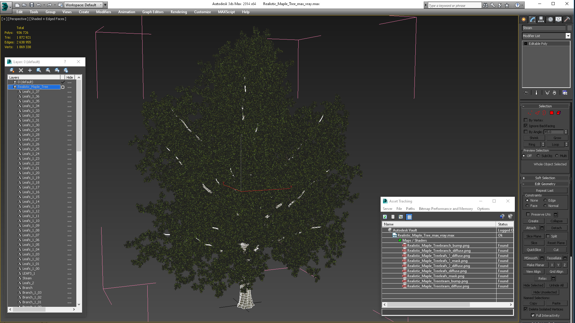 3D model Realistic Maple Tree