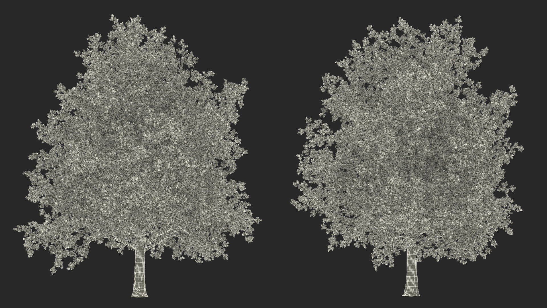 3D model Realistic Maple Tree